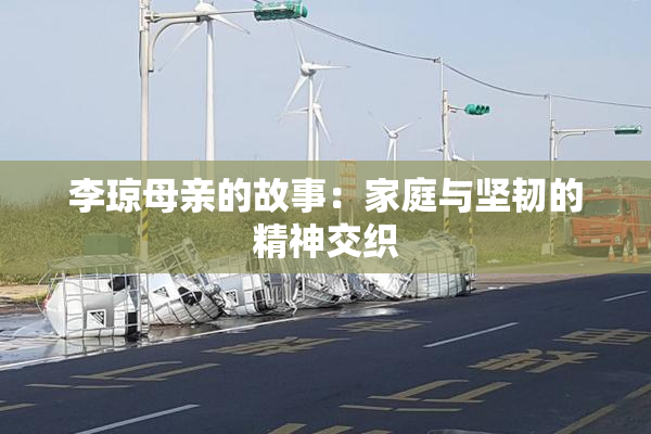 李琼母亲的故事：家庭与坚韧的精神交织