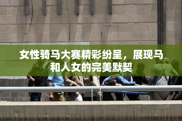 女性骑马大赛精彩纷呈，展现马和人女的完美默契