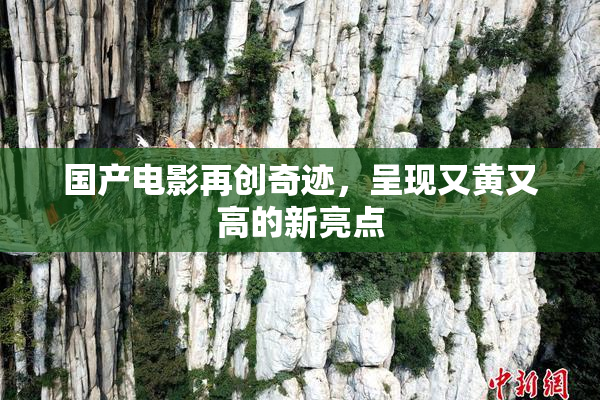国产电影再创奇迹，呈现又黄又高的新亮点