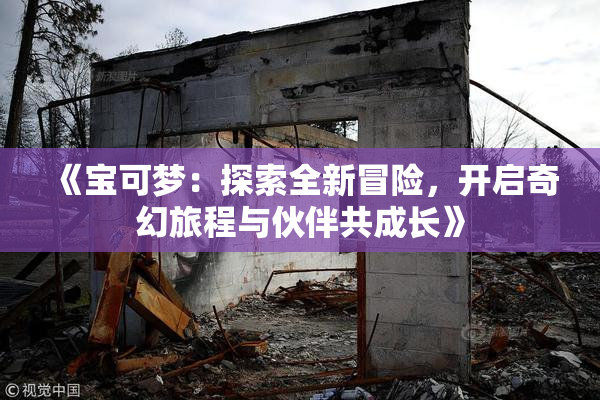 《宝可梦：探索全新冒险，开启奇幻旅程与伙伴共成长》