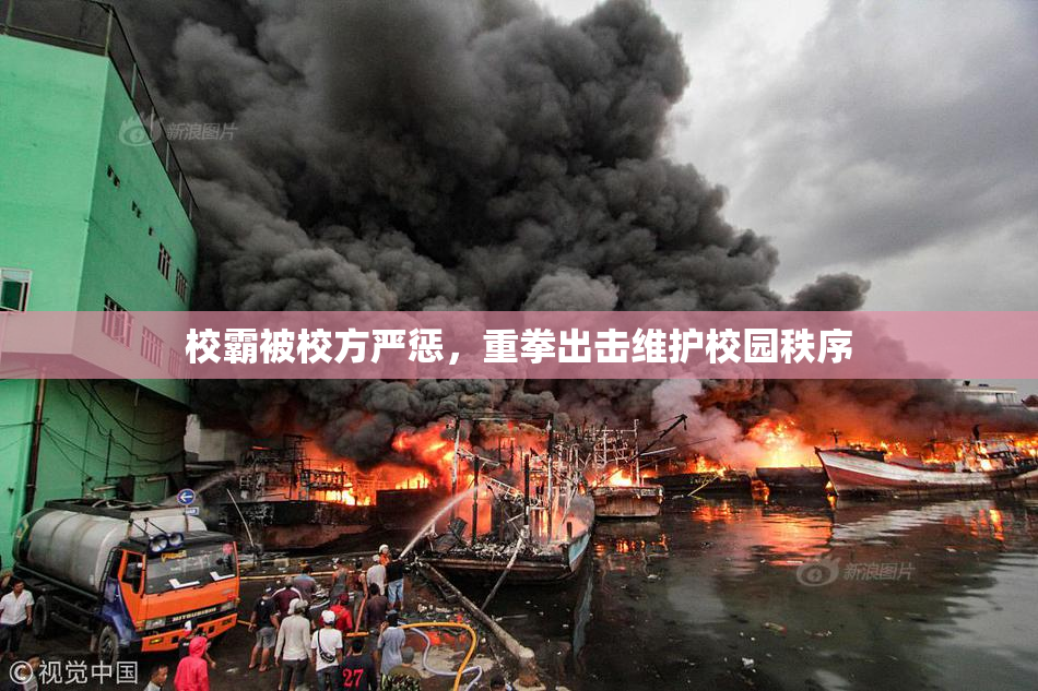 校霸被校方严惩，重拳出击维护校园秩序
