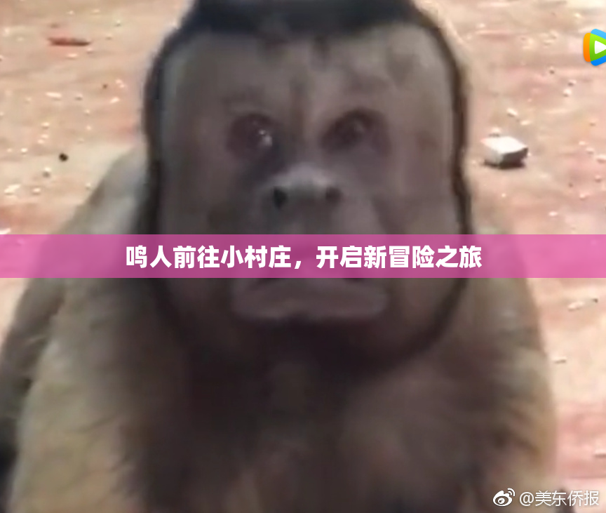 鸣人前往小村庄，开启新冒险之旅