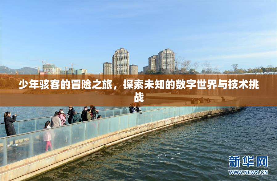 少年骇客的冒险之旅，探索未知的数字世界与技术挑战