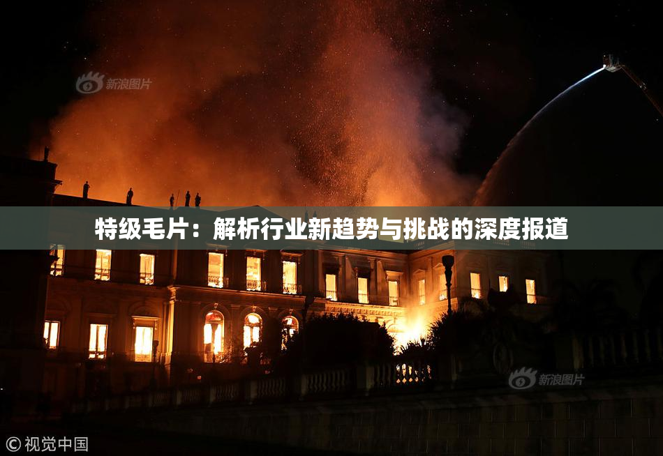 特级毛片：解析行业新趋势与挑战的深度报道