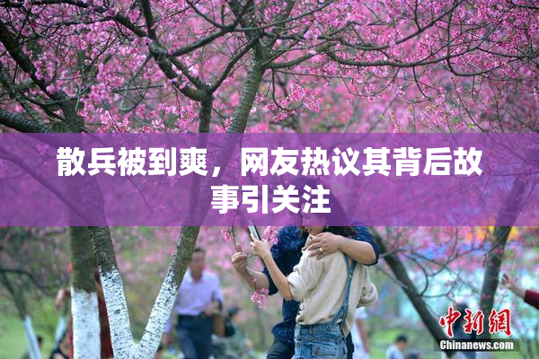 散兵被到爽，网友热议其背后故事引关注