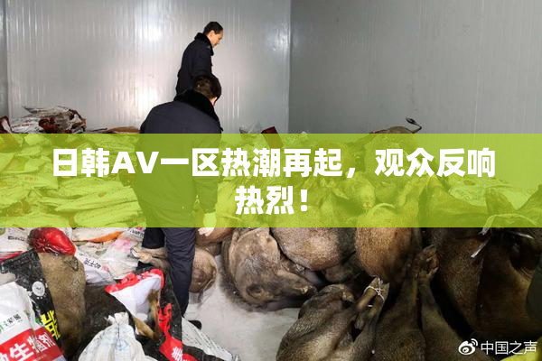 日韩AV一区热潮再起，观众反响热烈！
