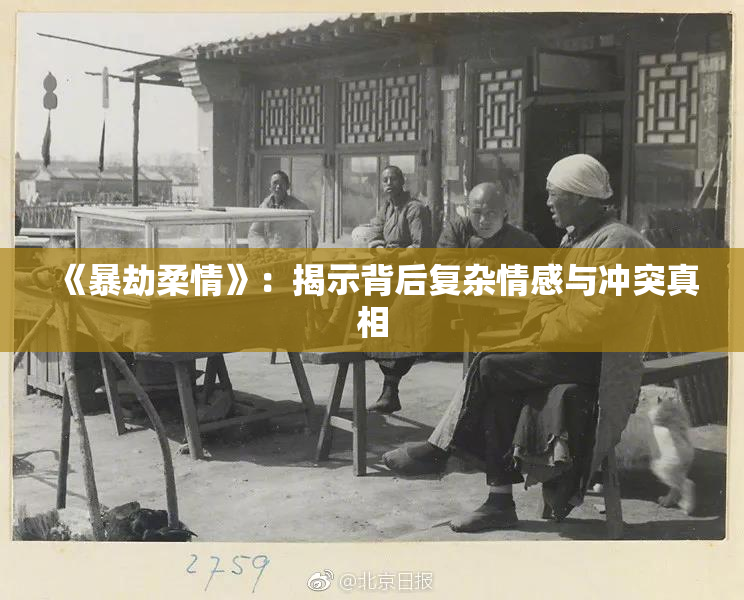 《暴劫柔情》：揭示背后复杂情感与冲突真相