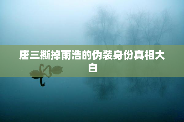 唐三撕掉雨浩的伪装身份真相大白