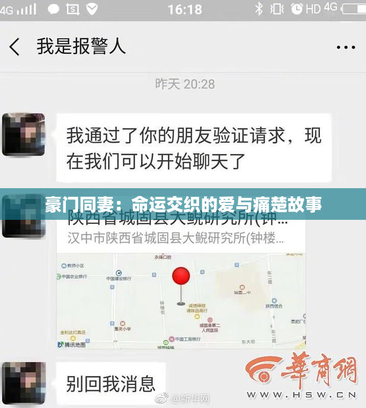 豪门同妻：命运交织的爱与痛楚故事