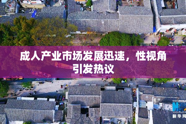 成人产业市场发展迅速，性视角引发热议