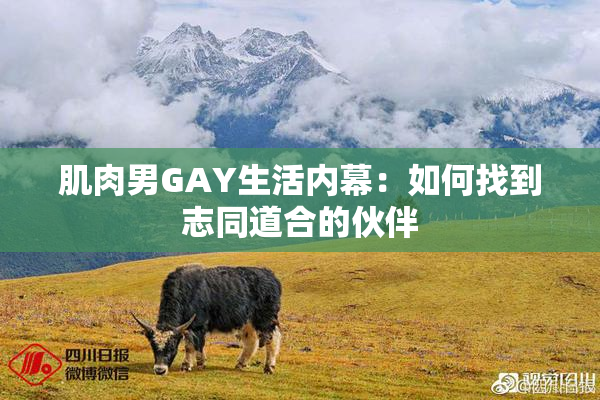 肌肉男GAY生活内幕：如何找到志同道合的伙伴