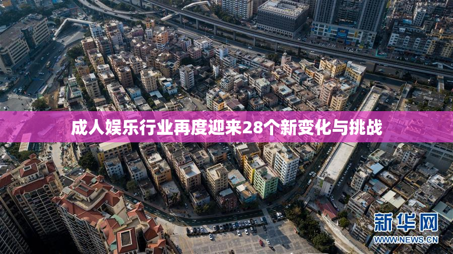 成人娱乐行业再度迎来28个新变化与挑战
