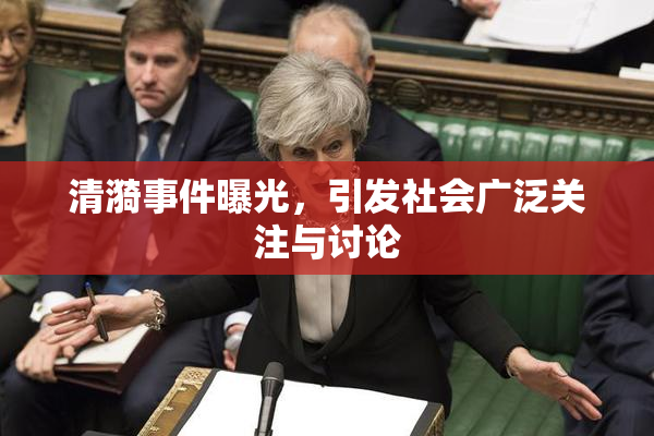 清漪事件曝光，引发社会广泛关注与讨论