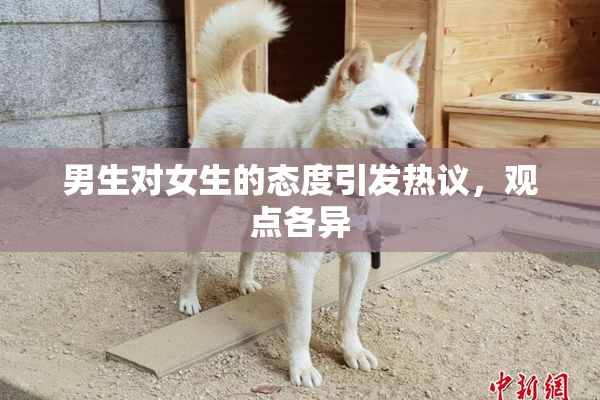 男生对女生的态度引发热议，观点各异