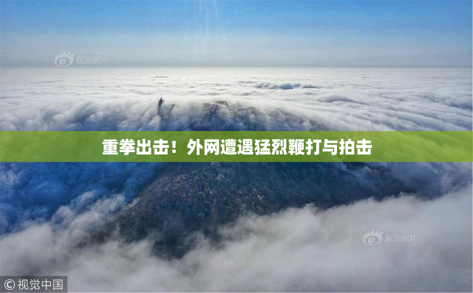 重拳出击！外网遭遇猛烈鞭打与拍击