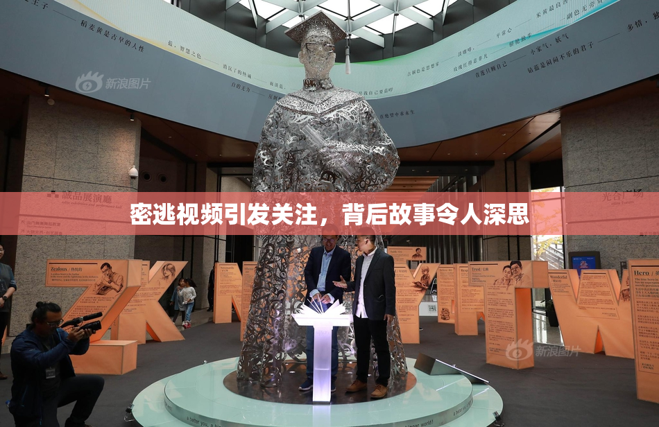 密逃视频引发关注，背后故事令人深思