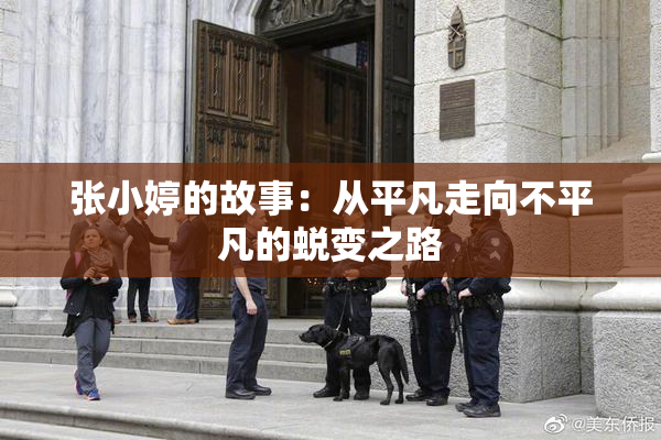 张小婷的故事：从平凡走向不平凡的蜕变之路