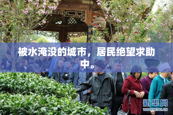 被水淹没的城市，居民绝望求助中。