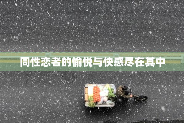 同性恋者的愉悦与快感尽在其中
