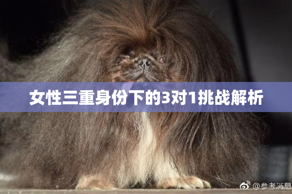 女性三重身份下的3对1挑战解析
