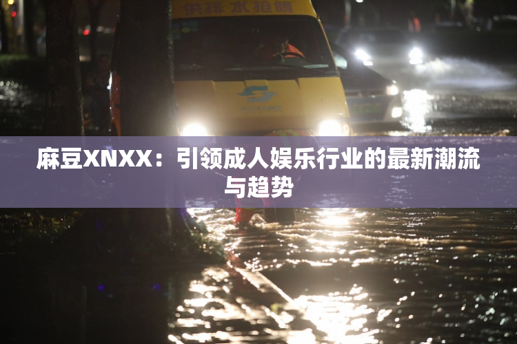 麻豆XNXX：引领成人娱乐行业的最新潮流与趋势