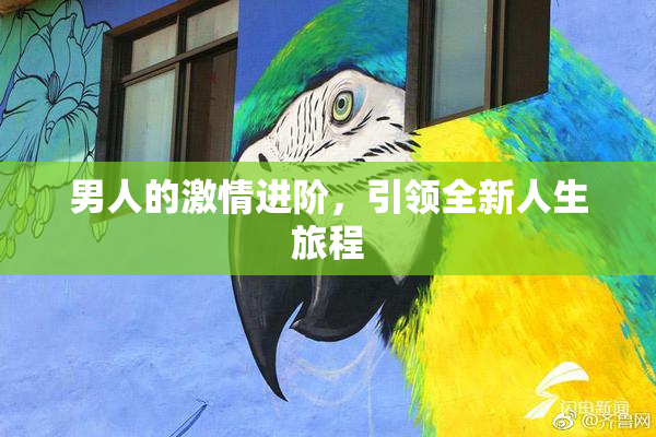 男人的激情进阶，引领全新人生旅程