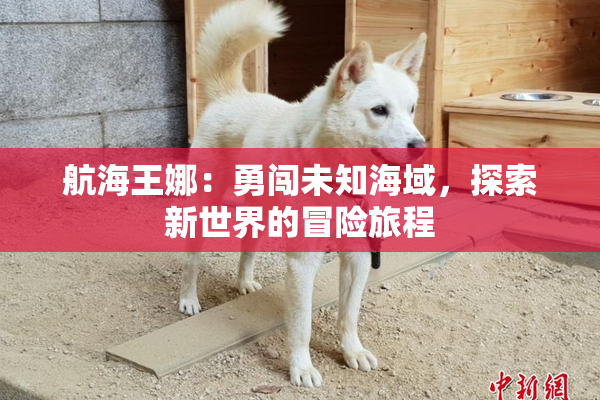 航海王娜：勇闯未知海域，探索新世界的冒险旅程