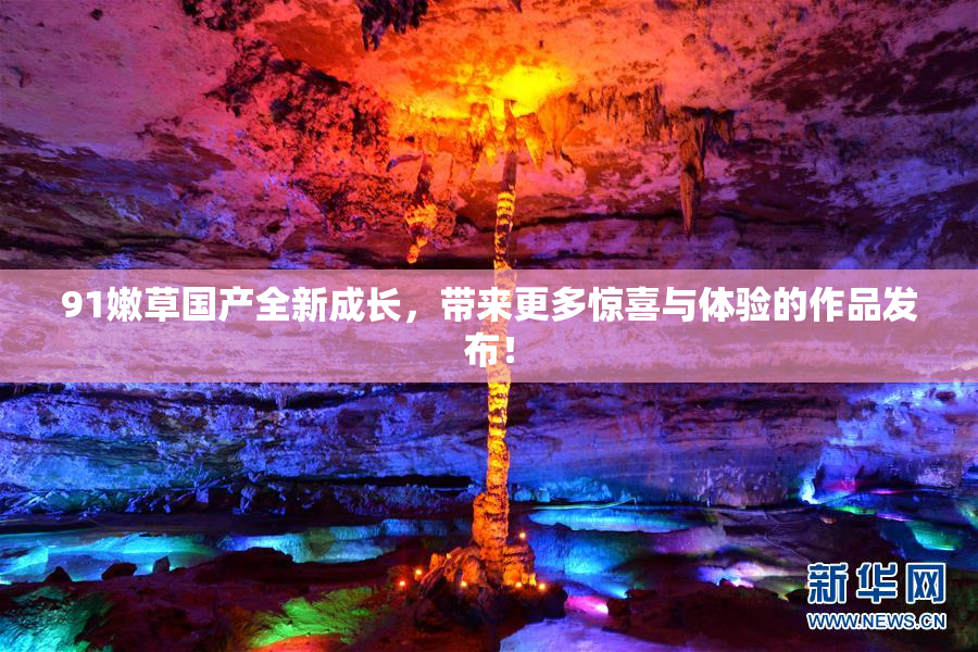 91嫩草国产全新成长，带来更多惊喜与体验的作品发布！