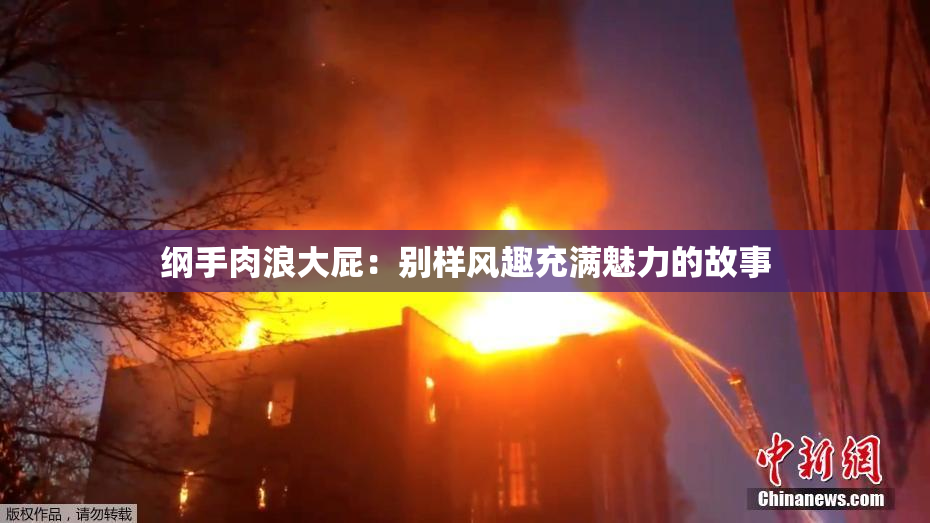 纲手肉浪大屁：别样风趣充满魅力的故事