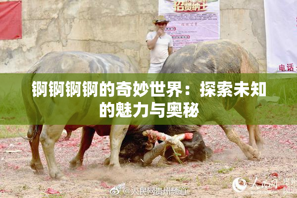 锕锕锕锕的奇妙世界：探索未知的魅力与奥秘