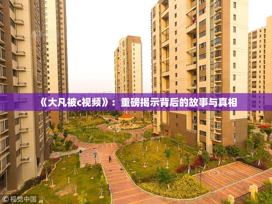 《大凡被c视频》：重磅揭示背后的故事与真相