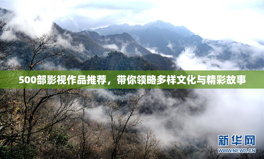 500部影视作品推荐，带你领略多样文化与精彩故事