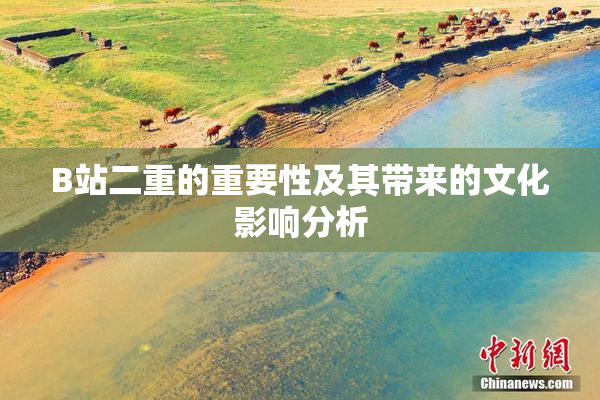 B站二重的重要性及其带来的文化影响分析