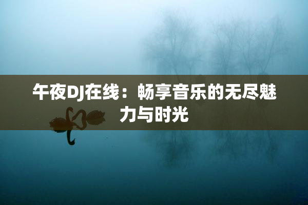 午夜DJ在线：畅享音乐的无尽魅力与时光