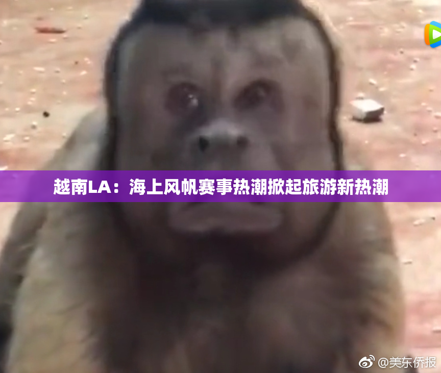 越南LA：海上风帆赛事热潮掀起旅游新热潮