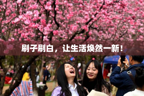 刷子刷白，让生活焕然一新！
