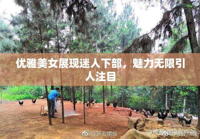 优雅美女展现迷人下部，魅力无限引人注目