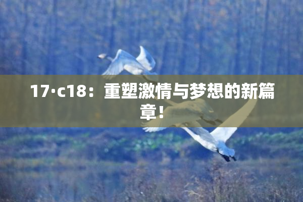 17·c18：重塑激情与梦想的新篇章！