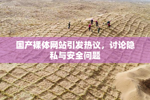 国产裸体网站引发热议，讨论隐私与安全问题