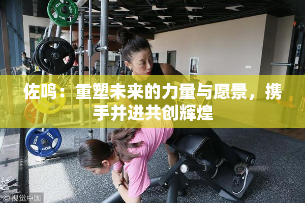 佐鸣：重塑未来的力量与愿景，携手并进共创辉煌