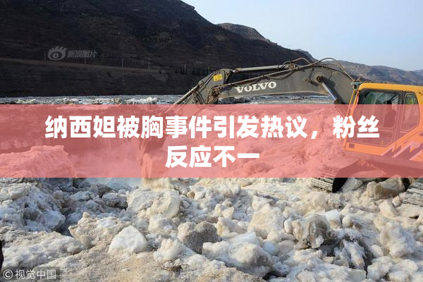 纳西妲被胸事件引发热议，粉丝反应不一