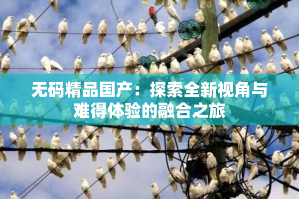 无码精品国产：探索全新视角与难得体验的融合之旅