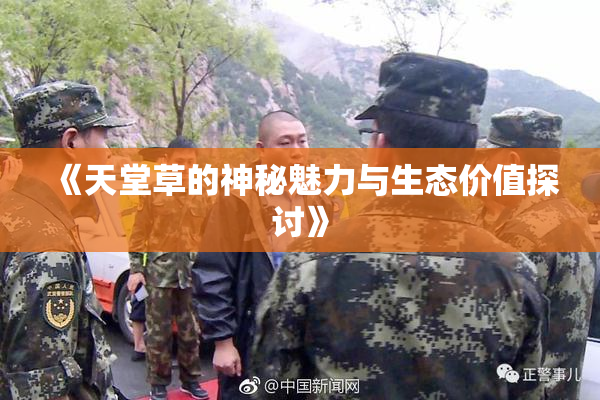 《天堂草的神秘魅力与生态价值探讨》