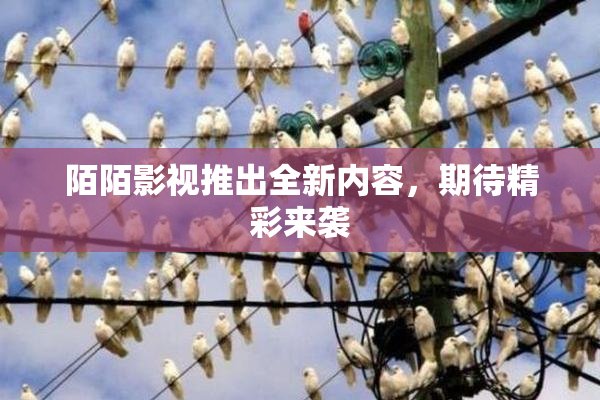 陌陌影视推出全新内容，期待精彩来袭