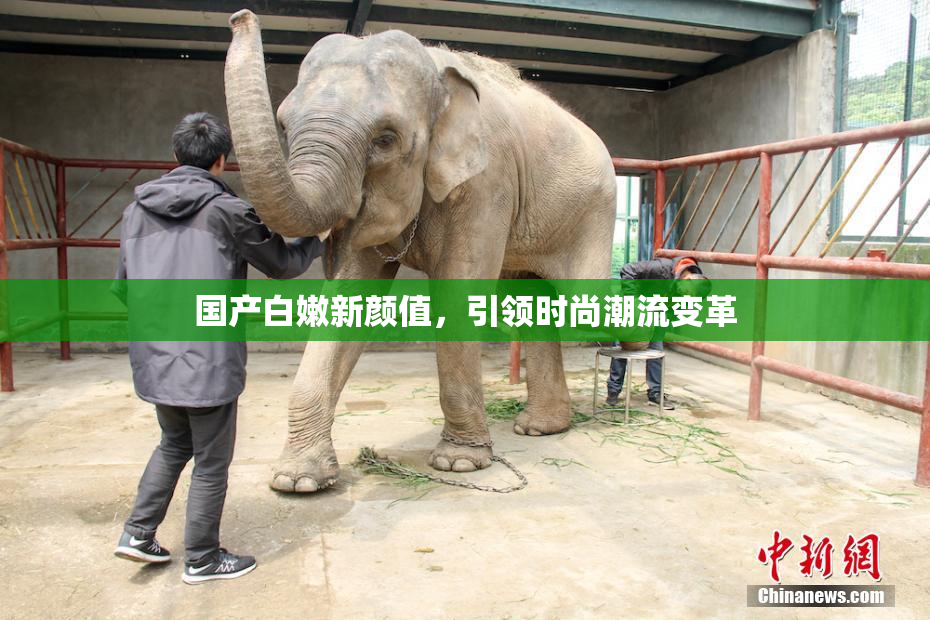 国产白嫩新颜值，引领时尚潮流变革