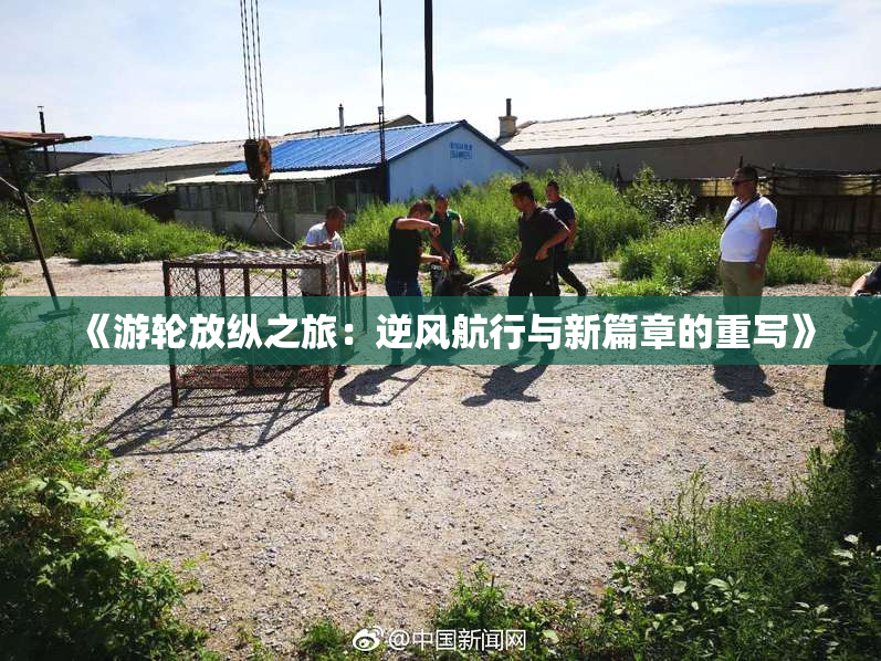 《游轮放纵之旅：逆风航行与新篇章的重写》