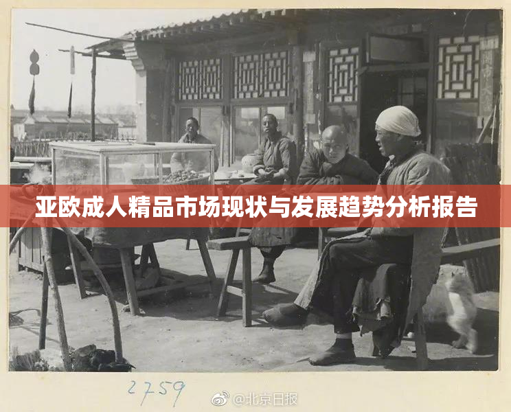 亚欧成人精品市场现状与发展趋势分析报告