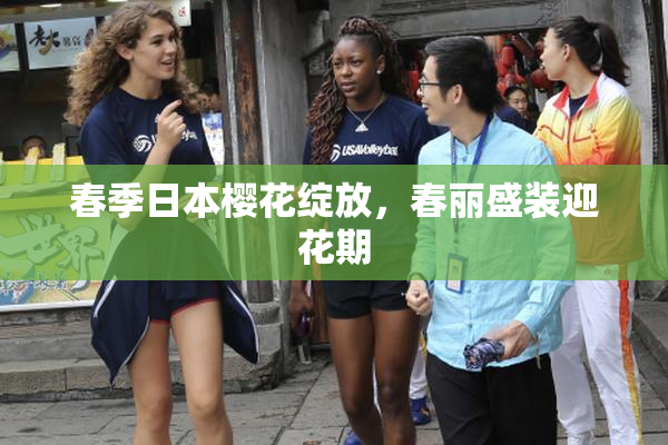春季日本樱花绽放，春丽盛装迎花期