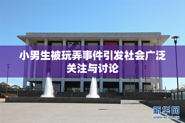 小男生被玩弄事件引发社会广泛关注与讨论