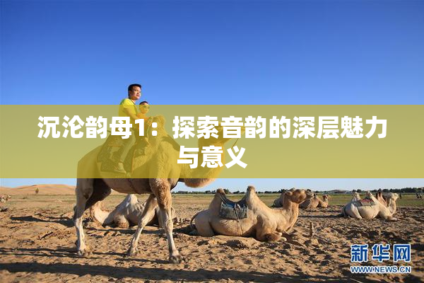 沉沦韵母1：探索音韵的深层魅力与意义
